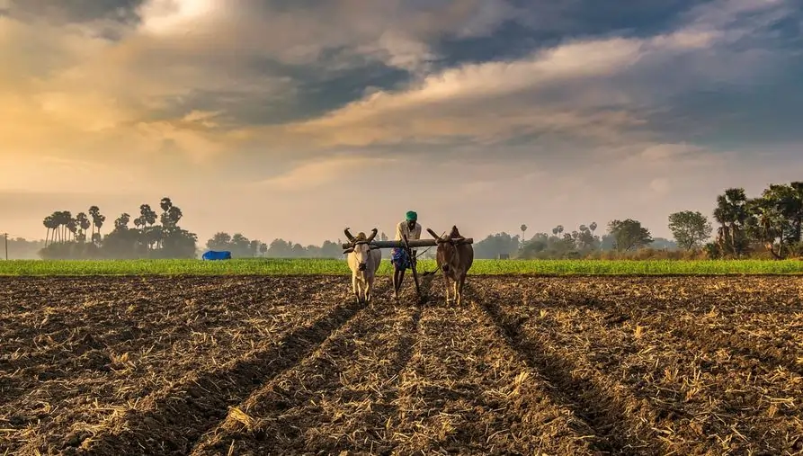 Price volatility shocks faced by farmers with reduction of trade barriers on agricultural commodities
