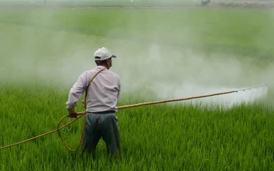 Excessive use of chemicals degrading agricultural lands