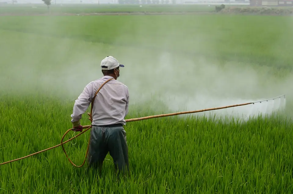 Excessive use of chemicals degrading agricultural lands