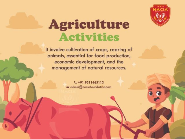 Role of NACIA Foundation to create path for empowering women for entrepreneurship